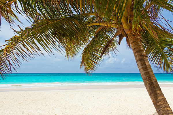 Relax Even More on Your Next Vacation with Travel Insurance