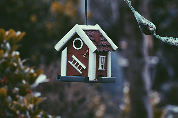 Crisis Averted? Financial Help for Struggling Renters and Landlords