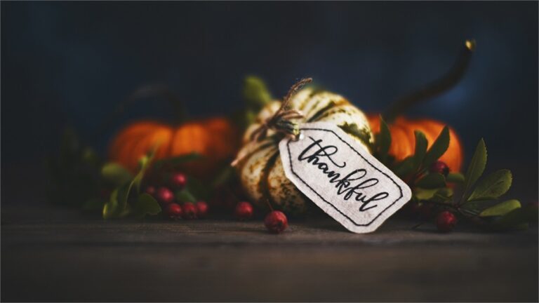 Happy Thanksgiving from Condor Capital!