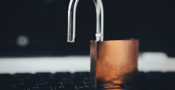 Scams and Fraud: Why Smart People Still Fall for Them, and How to Stay Protected